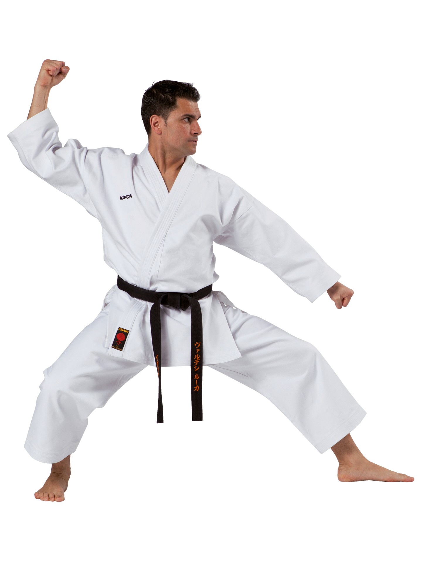 Basic moves in karate