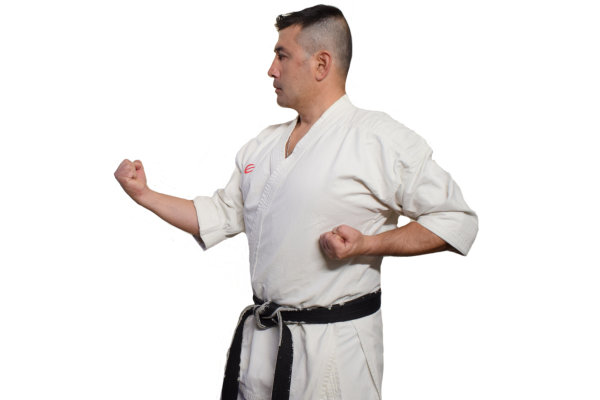 Shotokan karate blocks 