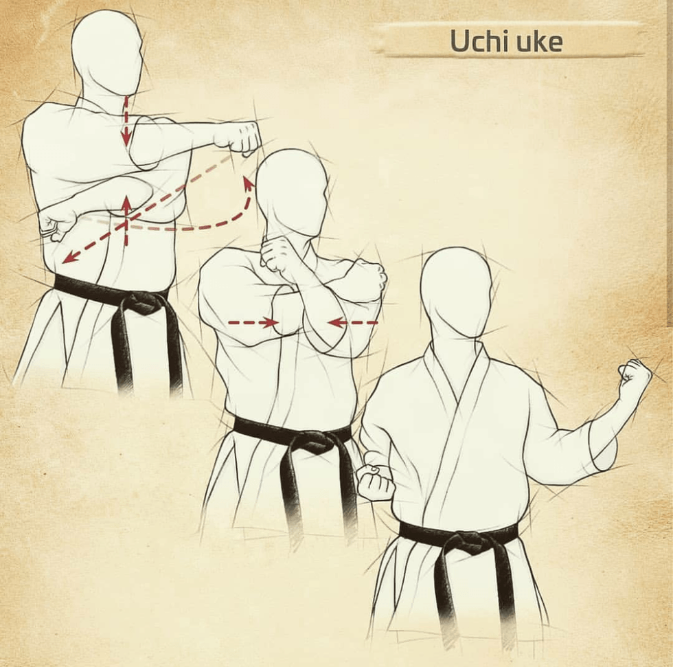 Karate Blocks And Punches at Marc Reed blog