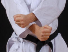 Shotokan karate blocks 