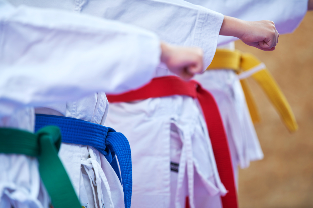 The Ranks of Shotokan Karate Belt Colors - The Karate Twins