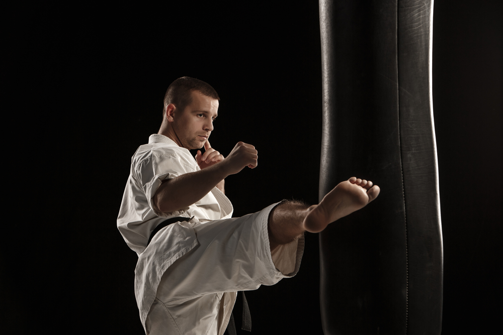 Best Punching Bag for Adults: Karate Practice – Top 10 Heavy-Duty Bags